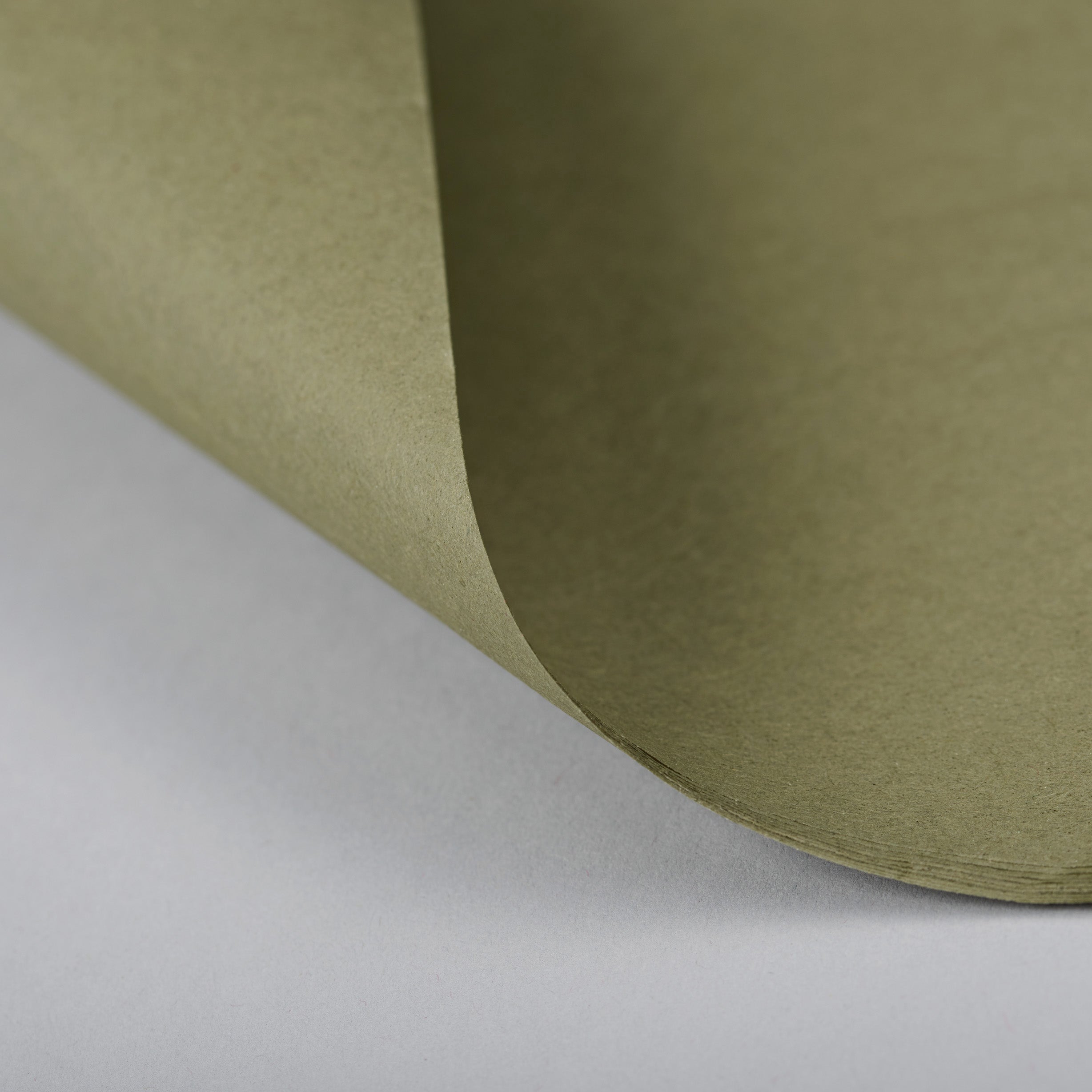 Tapestry Green - Wrapping Tissue Paper - NE277