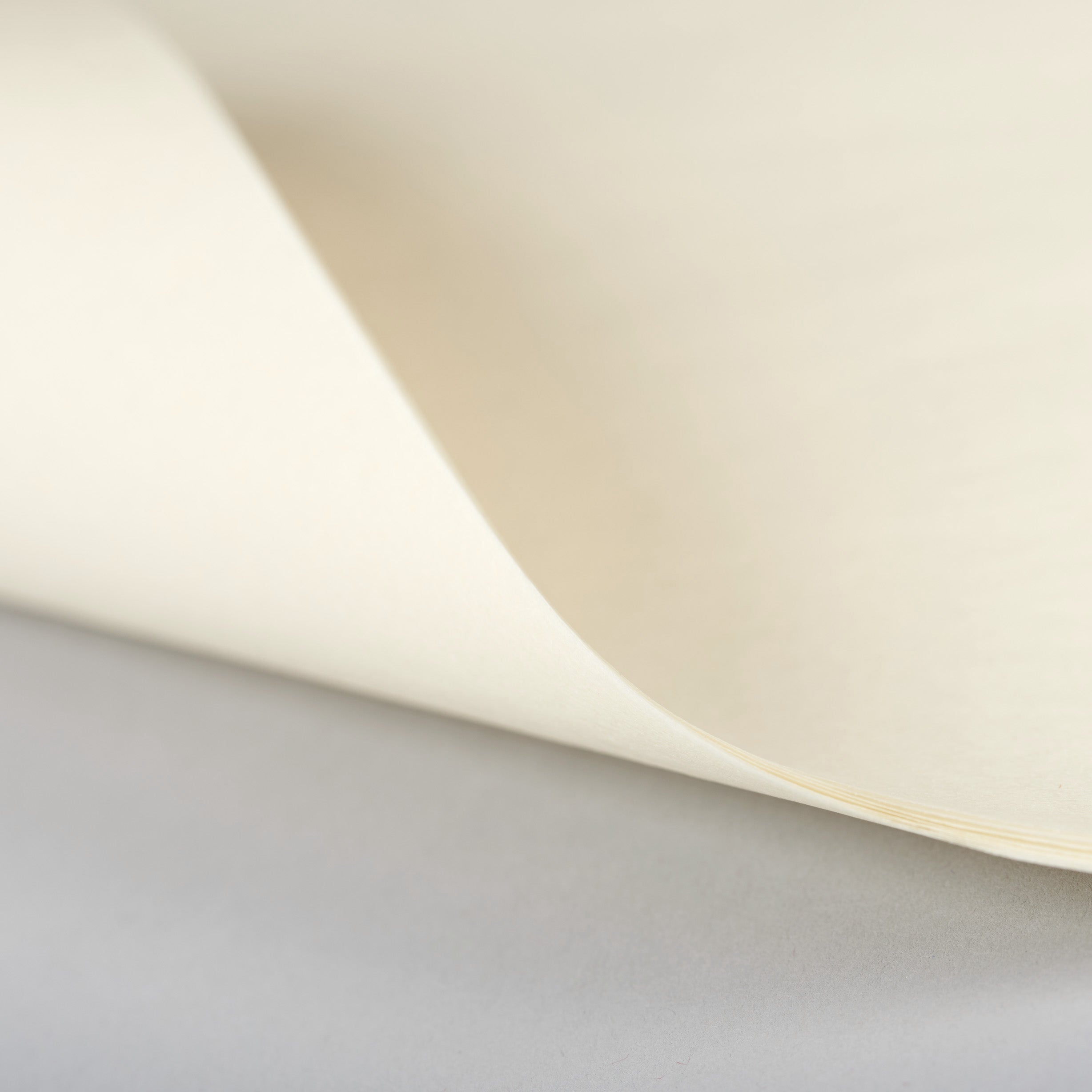 Creme - Wrapping Tissue Paper - NE347